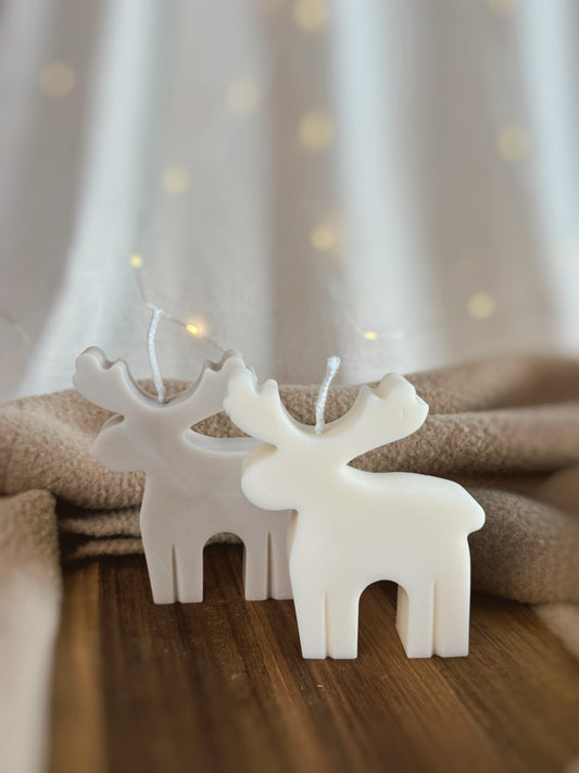 REINDEER Vela