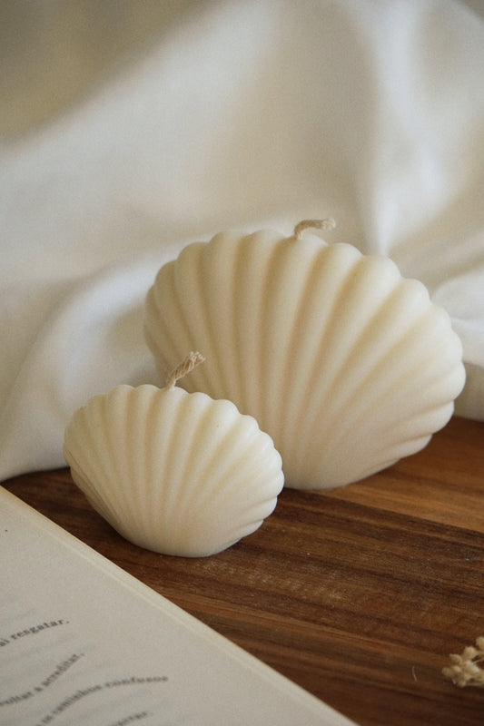 SEASHELL Vela