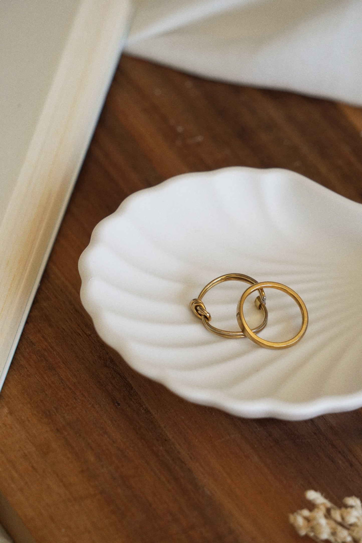 SEASHELL Prato