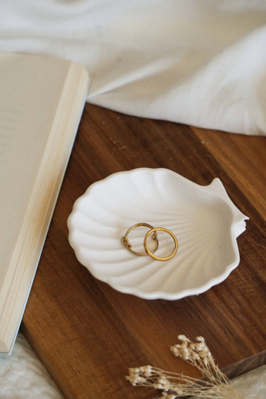 SEASHELL Prato
