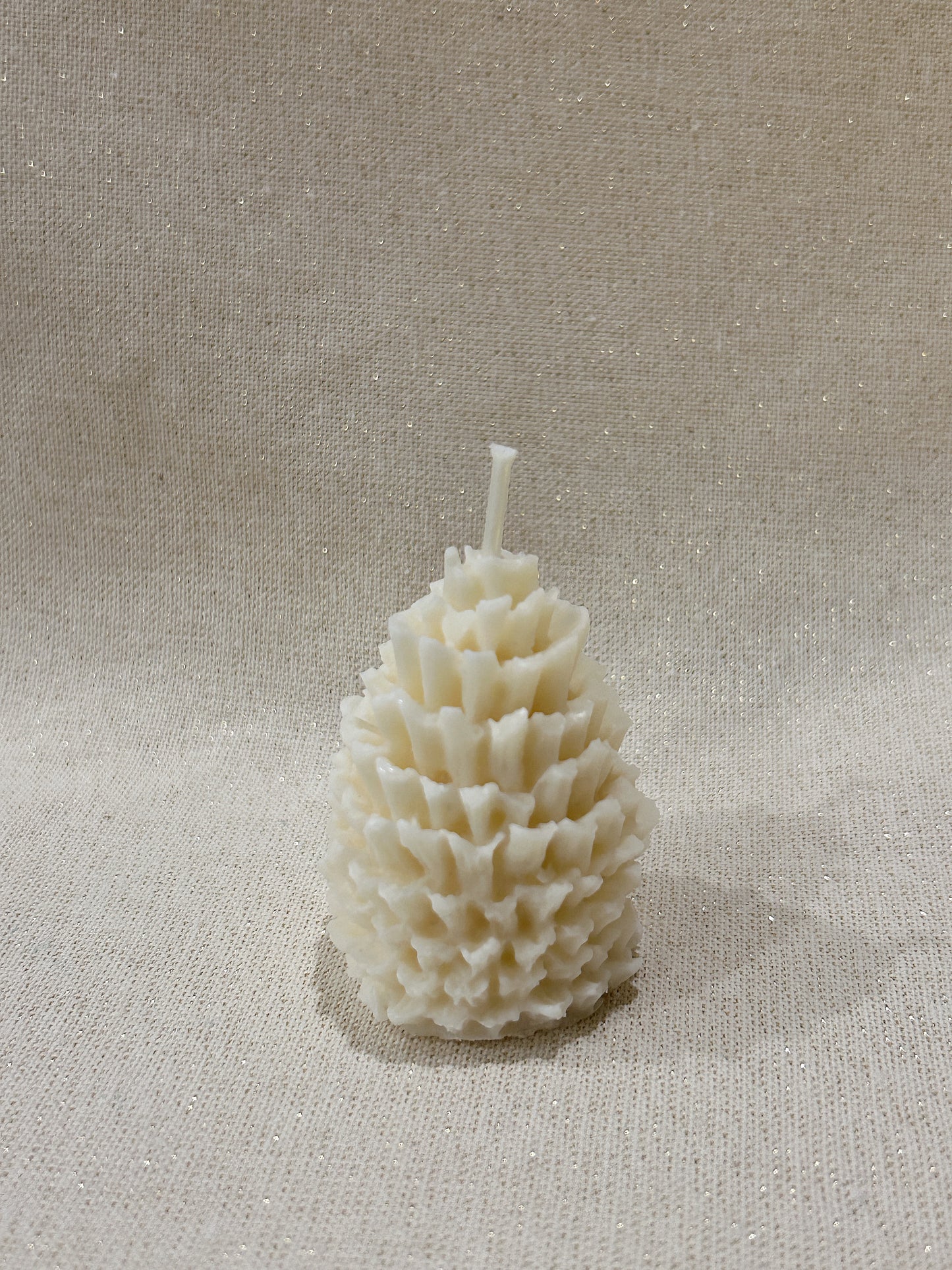 PINE CONE Candle