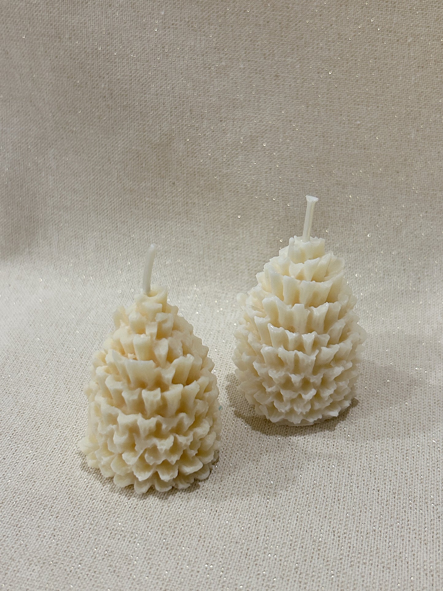 PINE CONE Candle